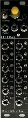 Eurorack Module Linguae: Clock & Divider  from Other/unknown