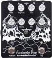 EarthQuaker Devices Earthquaker Devices Avalanche Run v2 Stereo Delay and Reverb CME Exclusive Black/White