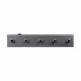 Darkglass Electronics MIDI footswitch