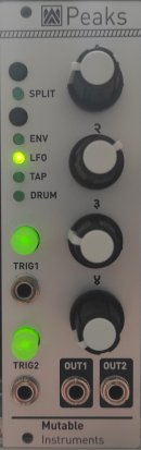 Eurorack Module Peaks (DIY) from Other/unknown