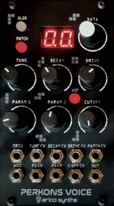 Eurorack Module Perkons Voice from Erica Synths