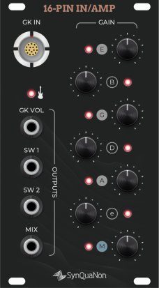 Eurorack Module SM 16-pin Input with Amplifier from SynQuaNon