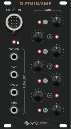 Eurorack Module SM 13-pin Input with Amplifier from SynQuaNon