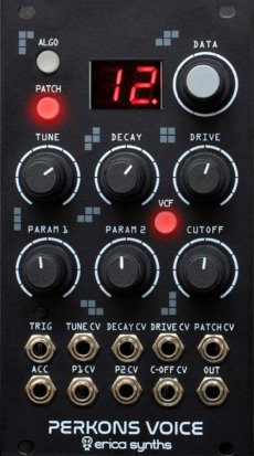 Eurorack Module Perkons Voice from Erica Synths