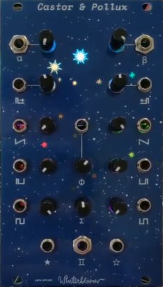 Eurorack Module Castor & Pollux from Other/unknown