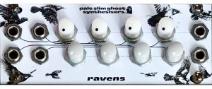 Eurorack Module Ravens from Other/unknown