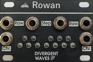 Eurorack Module Rowan from Divergent Waves