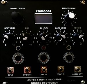 Eurorack Module Peneloopa from Other/unknown
