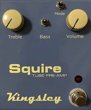 Pedals Module Kingsley Squire 86  from Other/unknown