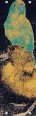 Other/unknown Ambit Parakeet / Duck