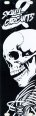 Skull &amp; Circuits Blank