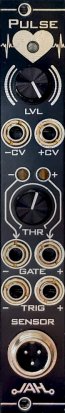 Eurorack Module Pulse from Avalon Harmonics