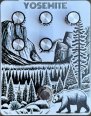 Other/unknown Spruce Effects Yosemite Junior Ranger