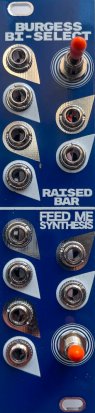 Eurorack Module Burgess Bi-Select from Feed me Synthesis