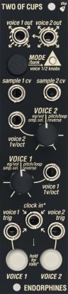 Eurorack Module Two Of Cups (black) from Endorphin.es