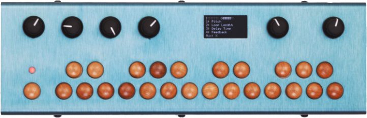 Critter and Guitari
