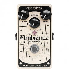 Pedals Module Ambience from Mr. Black