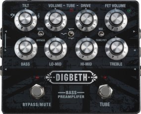 Pedals Module Digbeth from Laney