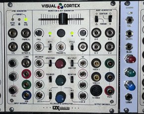 Visual Cortex + Expander