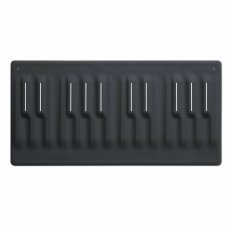 Roli Seaboard Block