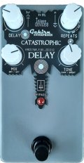 Gehirn Enterprises Catastrophic Delay