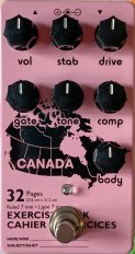 Winnipeg Electrical Fuzz