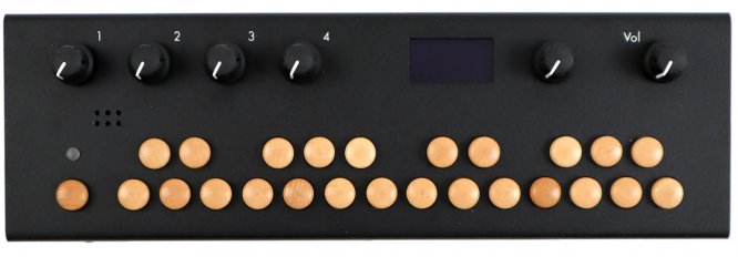 Critter and Guitari