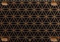 Blank - Herod's Mosaic - 12hp 1U